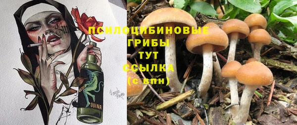 стаф Заволжье