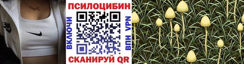 Галлюциногенные грибы мицелий  Купить закладки  Богданович 